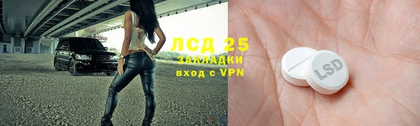 ГАЛЛЮЦИНОГЕННЫЕ ГРИБЫ Инсар