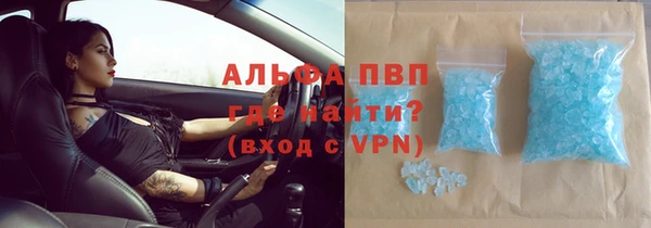 ГАЛЛЮЦИНОГЕННЫЕ ГРИБЫ Инсар