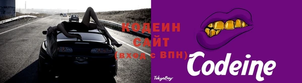 ГАЛЛЮЦИНОГЕННЫЕ ГРИБЫ Инсар