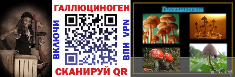Купить  Зима  Галлюциногенные грибы мухоморы 