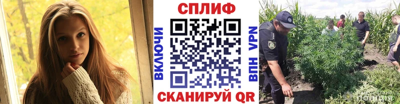 Купить закладки  Зима  Шишки марихуана MAZAR 